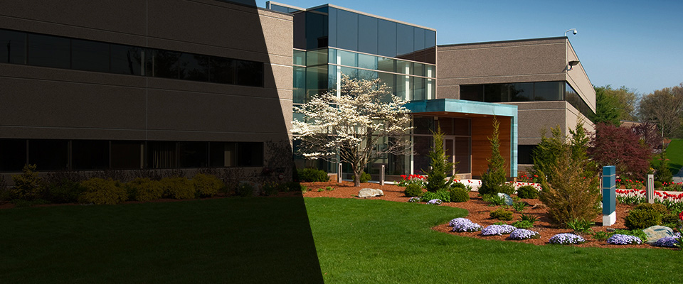 Sylmar Landscapers