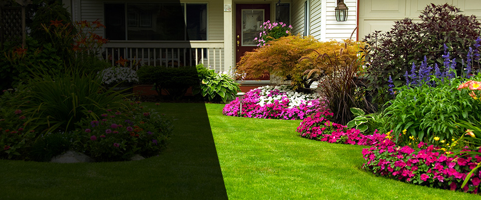 Sylmar Landscapers