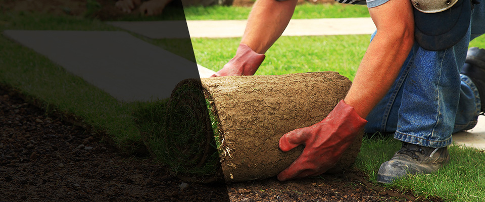 Sylmar Landscapers